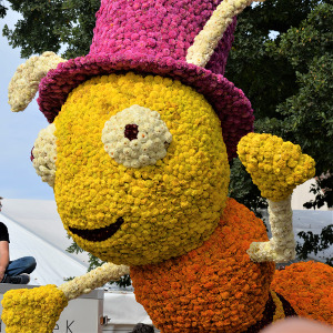 Blumenwagen aus dem Festumzug 2018